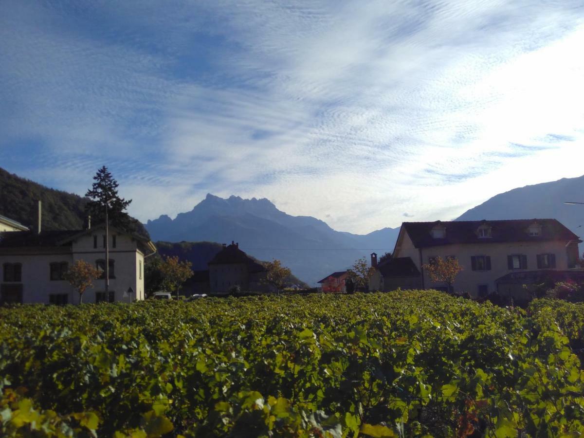 Element-Terre Hotel Aigle Buitenkant foto